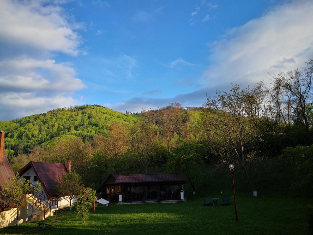 Bed and Breakfast Castelul De Smarald Pangaracior Экстерьер фото